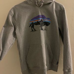 Worn twice, woman’s Patagonia hoodie size small in great condition